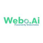 webo.ai - ai testing platform Profile Picture