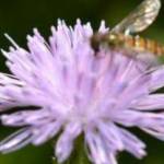 lihongwan8 Profile Picture