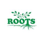 Vedic Roots Profile Picture