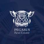 Pegasus Real Estate Profile Picture