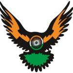 nri wings Profile Picture