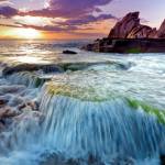 Zendaya Holland Profile Picture