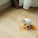 Fmd Distributor Profile Picture