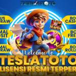 teslatoto Profile Picture