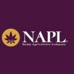 Nap limited Profile Picture