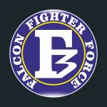 Falcon Fighter Force Profile Picture