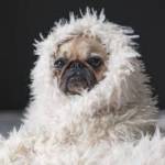 RyujiSaeki Profile Picture