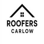 Roofers Carlow Profile Picture