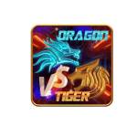 Dragon Tiger Profile Picture