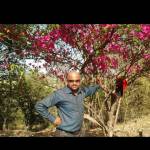 Karls Scott Profile Picture