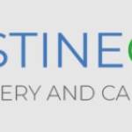 PristineGreen Upholstery and Carpet Cleaning Profile Picture