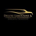 deluxelimohouston Houston Profile Picture